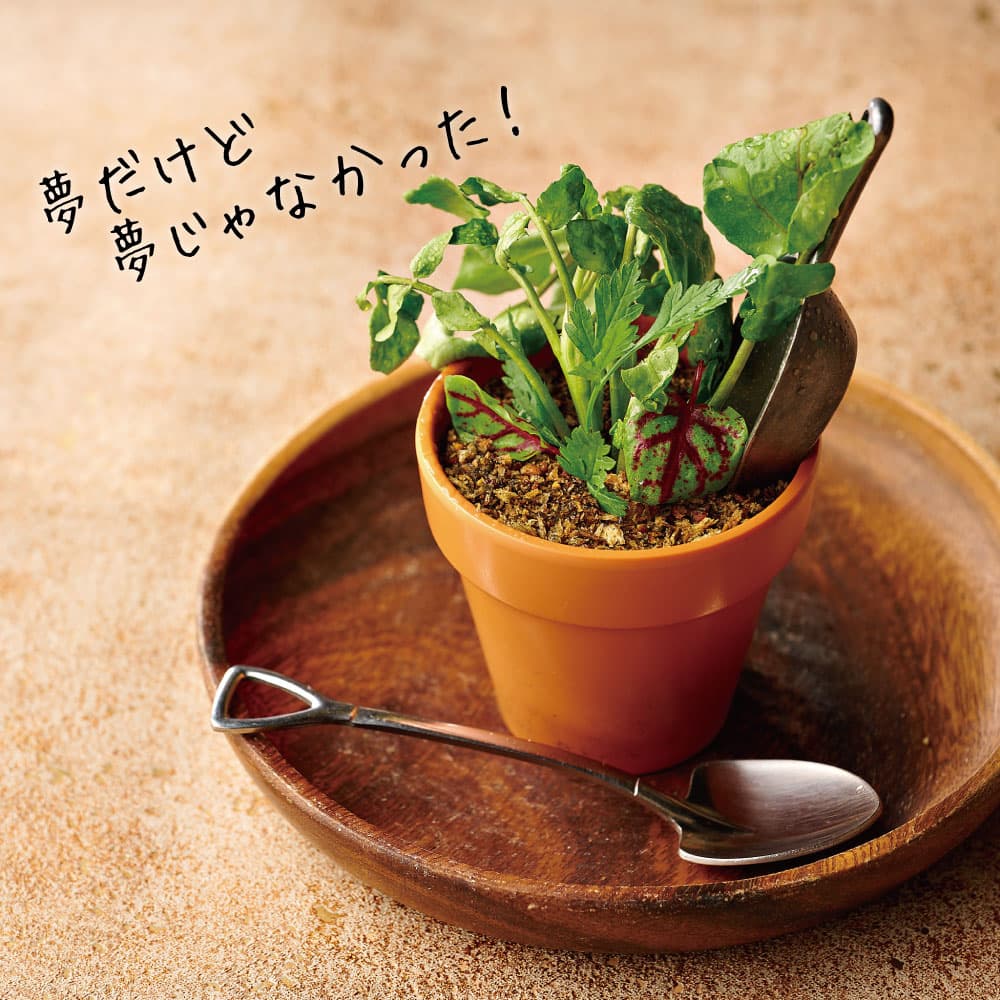 『芽が出た!』植木鉢のポテトサラダ